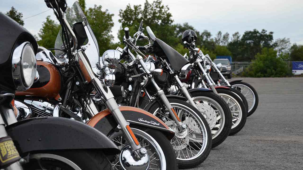 All lined up and ready to go