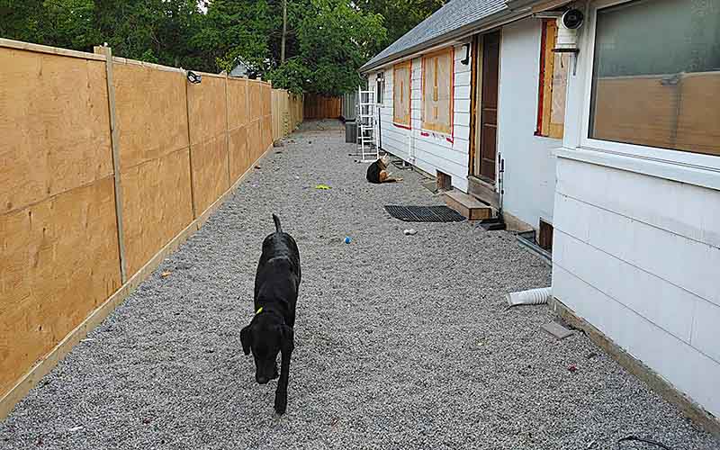 We have a dog run 110 x 15 feet, that is open to visiting puppers.
