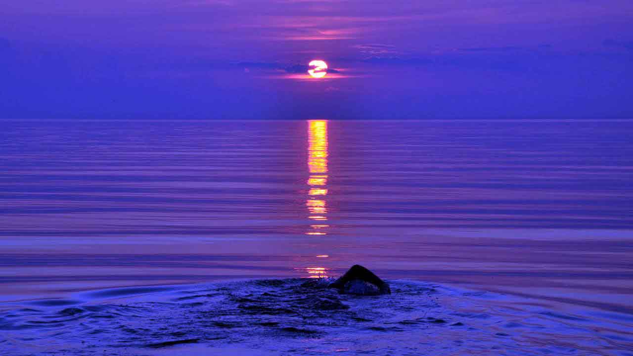 Brenda maintained her pace and moved forward into the night