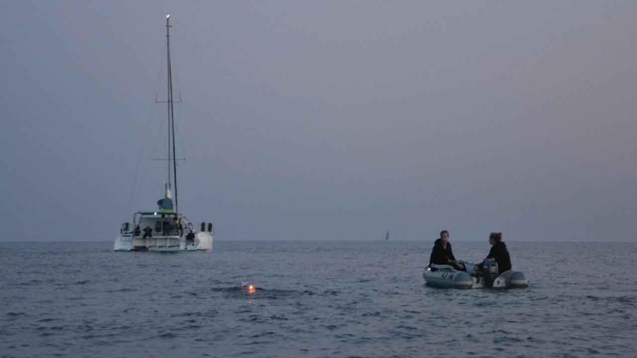 Often all that could be seen was the flashing orange beacon on Ashleigh's swim cap