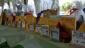 The Shelter shows their appreciation to both sponsors and walkers.